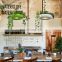 Art Deco LED Plant Pendant Light Hanging Lamp For Dining Room Cafe Bar And Living Room Chandelier Light