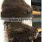 Professional Ostrich Feather Duster