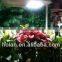 bi-spectrum induction grow light