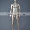 Euro male display mannequin for sale/ Show purpose displaying mannequin/ Exhibition purpose display mannequin