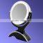 led light magnifying mirror