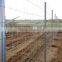 Fixed knot Cattle fence/field fence(manufacturer and exporter)(ISO9001 certification)