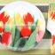 Santa Christmas ceramic tableware,cake plate with scoop