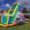 the Waltzer Dry Inflatable Slides for Sale