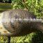 wholesale inflatable soft XPE foam turkey decoy,Garden decorations,hot selling hunting decoy