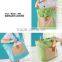  express custom tote bag/ bag shopping/ foldable bag