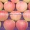 Fresh fruits Red star apple with good quality for sale                        
                                                Quality Choice