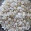 PP/PE Granulate production line