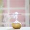 LED essential oil aroma diffuser ultrasonic color changing mist humidifier