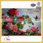 Flat Print Aluminum Composite Panel UV Printing