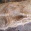 Coconut Fiber- High quality _ QQ : 2598494113