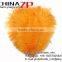 CHINAZP No.1 Supplier in China Factory Exporting Wholesale from 8inch to 10inch Dyed Orange Ostrich Feathers