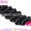 Top Beauty Hair Free Sample Hair Bundles Brazilian Virgin Human Deep Wave Brazilian Hair Bundles