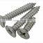 Stainless Steel Self Tapping Screw/self Tapping Screw/tapping Secrw