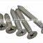 Stainless Steel Self Tapping Screw/self Tapping Screw/tapping Secrw