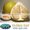 Sell Pinghe honey pomelo
