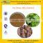 GMP manufacturer supply 100% Natural Fo-ti Extract/Radix polygoni mulitiflori extract powder
