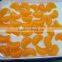 Canned Orange