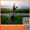 China manufacture directly supply cheap bird netting / nylon anti bird nets fabric for catching birds