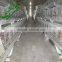 model poultry cages for layer chickens