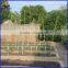 Galvanized Tomato spiral plant support wire