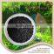 2016 Hot Sale High Concentrated Algae Kelp Source Organic Extract Seaweed Fertilizer