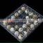 30 Packs clear transparent plastic quail egg cartons,30eggs quail packing tray
