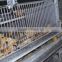 Pullets raising cage for poultry farming equipment