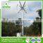 Chinese Credible Supplier 2016 New Style magnetic vertical wind turbine/12v vertical axis wind generator home