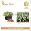 Wholesale Vegetable felt planter bag felt potato/Carrot planter pots