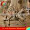 Exhibition equipment dinosaur skeleton replica