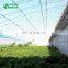 Greenhouse Sunlight Shading System