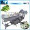 Air bubble salad vegetable fruit washing cleaning machine