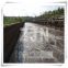 ZJN  Industrial Drye Rotary Sludge Waste drying 	River Sludge Drying