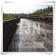Waste Treatment and Utilization for	River Sludge Drying