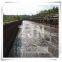 ZJN  Industrial Drye Rotary Sludge Waste drying 	River Sludge Drying