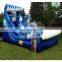 express double playground inflatable dolphin water slide for sale