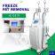 Innovative fat Reduction 2 cryo Handles Work Simultaneously Fat Freezing Machine