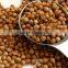 Premium Quality Organic Coriander Seeds Sale