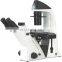 BDS400 Inverted Biological Microscope