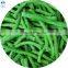 Frozen Fresh Long Bean IQF Asparagus Bean Cut