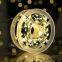 Christmas Tree Decorative Light 30m 50m 100m Micro LED String Lights with Remote Control 8 Lighting Modes