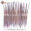 cheap Brazil Carnival Lady Amherst Pheasant Tail Feathers