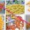 Fried Cheetos/Kurkure/Niknak Processing Line