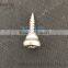 Nonstandard Stainless Steel Screw in best-selling