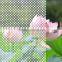 Honey Dot-white decorative film for window glass/white dot film