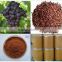 100% purity Grape seed extract