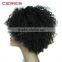 overnight delivery cheap wholesale price 100 high temperature fiber synthetic lace front wig for black women kinky curly                        
                                                Quality Choice