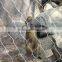 Stainless steel bird and animal netting enclosure