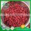 Freeze Dried Raspberry For Overseas Market